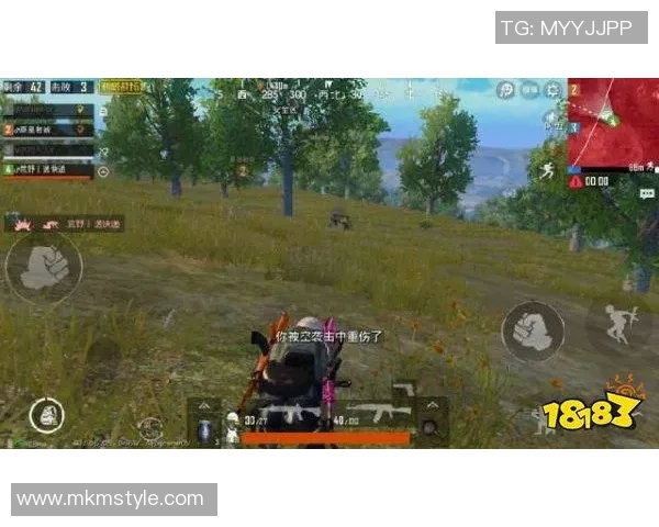 和平精英战场上的速度与策略分析WE战队的表现与启示