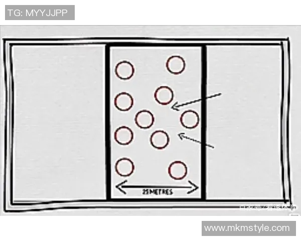 西安排球队区域防守的优劣分析与战术调整探讨