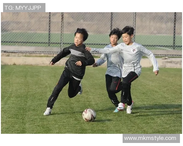 2017年辽宁宏运对战回顾及精彩瞬间分析与球队发展展望